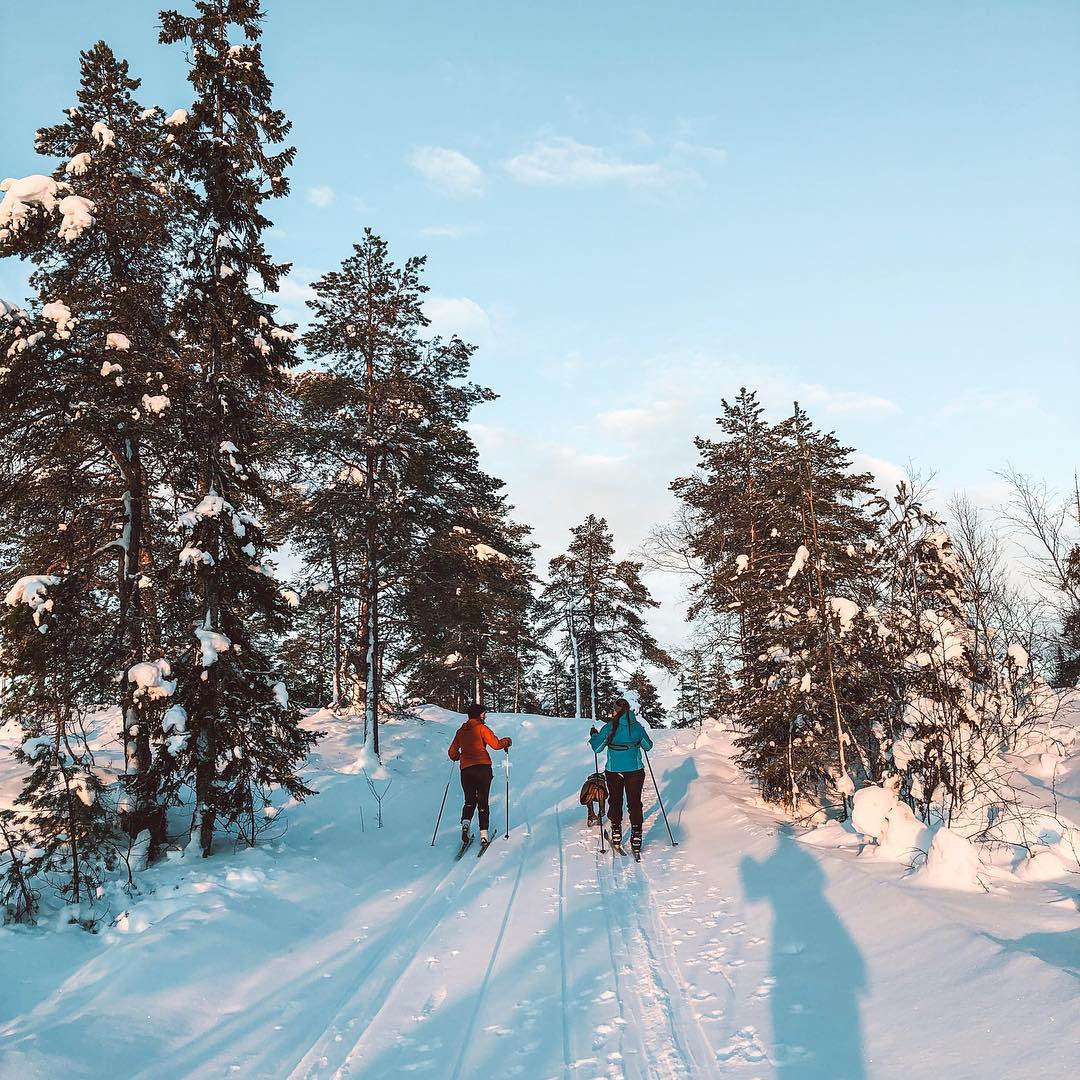 Folkehøgskole på skitur i Trøndelag
