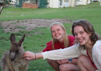 Kenguru safari i Australia
